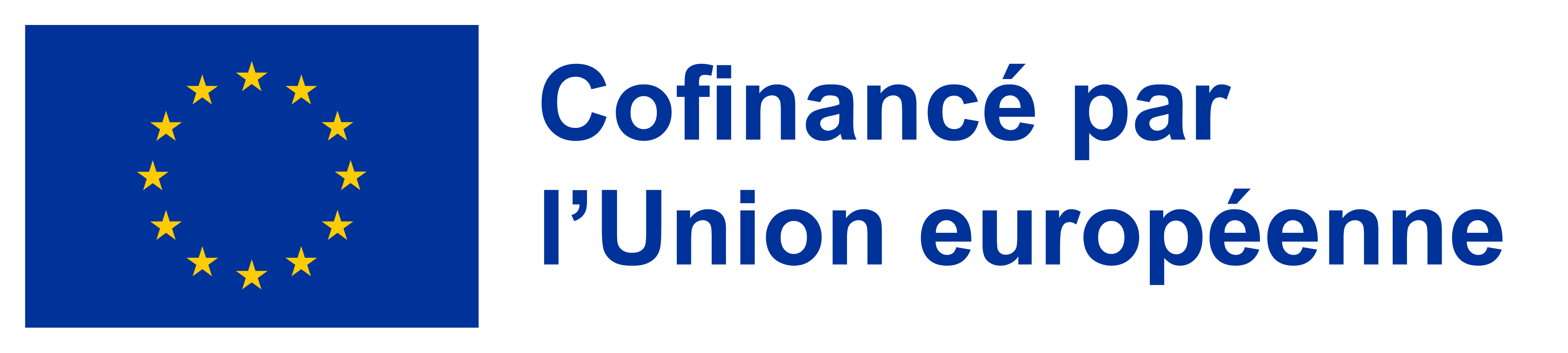 FR_Co-fundedbytheEU_RGB_POS.png